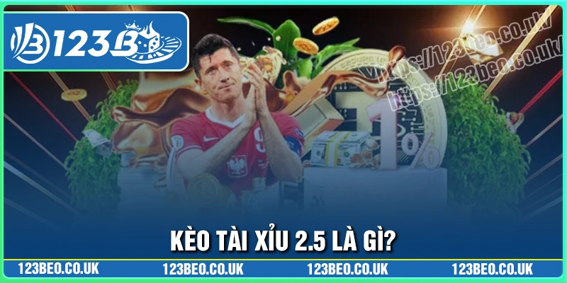 Kèo tài xỉu 2.5 là gì?